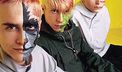 animal x