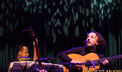Al Di Meola