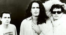 Meat Puppets