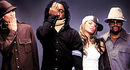 Black Eyed Peas