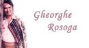 Gheorghe Rosoga