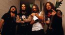Pantera