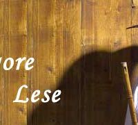 Grigore Lese