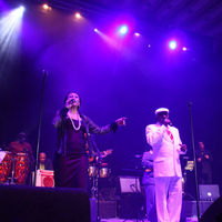 Concert Havana Lounge, Sala Palatului
