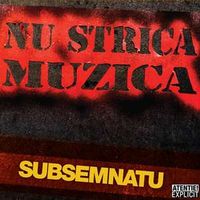 Subsemnatu - Nu strica muzica