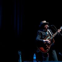 Poze concert Elvis Costello la Bucuresti