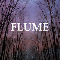 Download Flume - Sleepless feat Jezzabell Doran