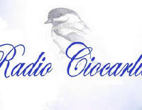 Radio Ciocarlia