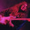 Yngwie Malmsteen
