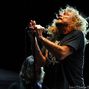 Robert Plant's pictures