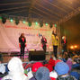 Poze concert Botosani Andra